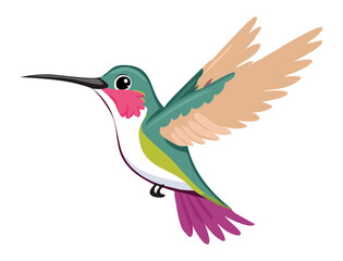 Hummingbird in Flight with Vibrant Colors