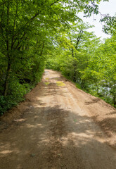 an unpaved road in the spring in a wooded area walking on a sunny day