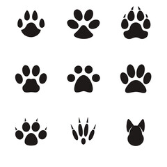 Fototapeta premium Assorted Animal Paw Prints animal tracks dog paw