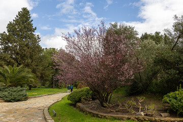 Path through the ancient Roman ruins of Itálica in Seville, Spain, with two people walking beneath a blooming jacaranda tree under a bright blue sky.