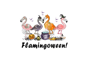Flamingoween celebration flamingos in witch hats with pumpkins and a cauldron Sublimation Design isolated on transparent background