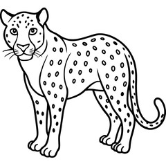Amur Leopard line art vector
