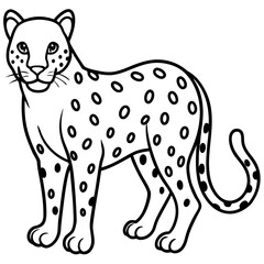 Amur Leopard line art vector