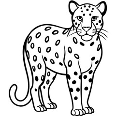 Amur Leopard line art vector
