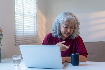 Senior Woman Talking to Smart Speaker at Home