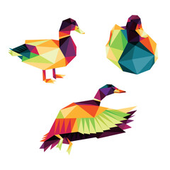 Flying Duck Animal Set in Colorful low poly polygonal.  Duck Icon in abstract colorful logo. Vector abstract of Duck collection