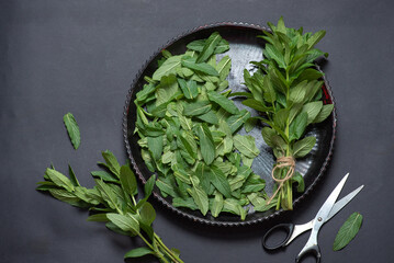 Fresh Green Mint Leaves Arrangement On Black Surface For Sale