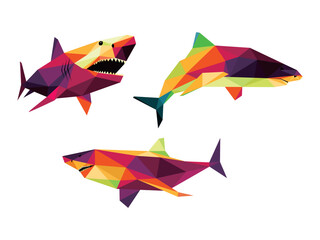 Wild Shark Animal Set in Colorful low poly polygonal.  Ferocious Shark Icon in abstract colorful logo. Vector abstract of Shark collection