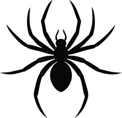 Minimal black spider silhouette isolated on transparent background