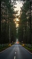 Obraz premium A picturesque journey down a straight asphalt road lined with tall pine trees, heading towards a glowing horizon.