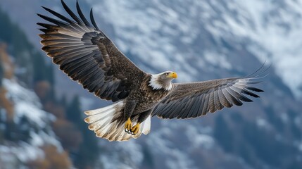 Majestic eagle soaring above snowy peaks