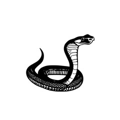 Fototapeta premium King Cobra Illustration: A striking monochrome line art depicts a king cobra in profile, its hood raised, showcasing intricate scales and a powerful presence.
