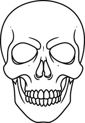 Human Skull Line Art – Anatomical Vector Illustration for Halloween and Gothic Design Themes