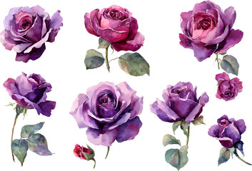 Fototapeta premium bouquet of roses