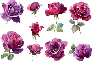 Fototapeta premium collage of pink roses