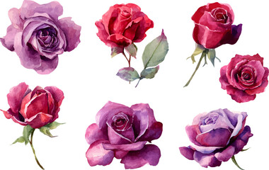 Fototapeta premium bouquet of roses