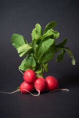 Two Bunches Of Fresh Red Radishes With Leaves On A Black Background