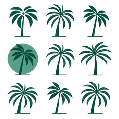 Tropical palm trees collection nature plant