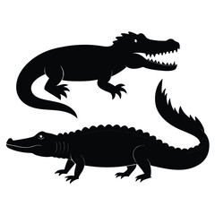 crocodile isolated on white background