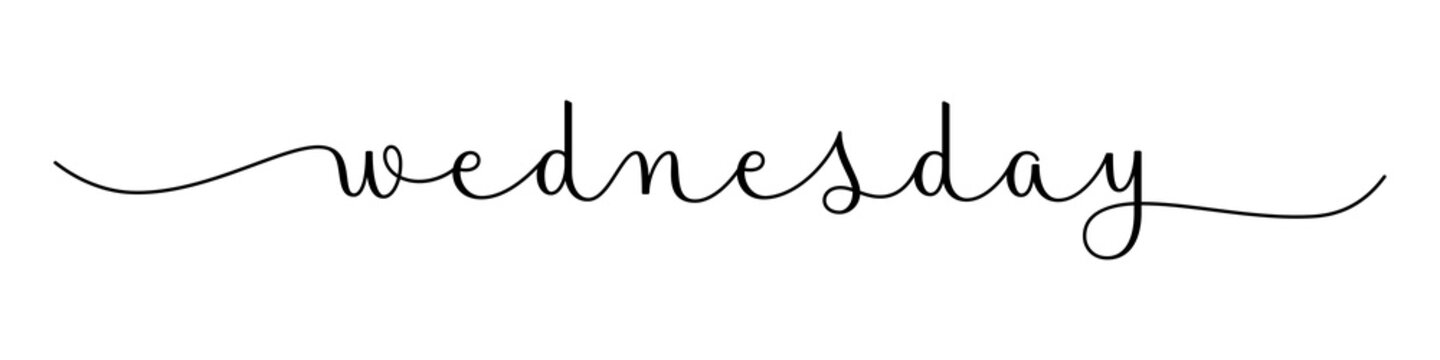 WEDNESDAY black brush calligraphy banner with swashes on transparent background