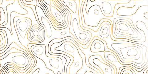 Topographic canyon geometric map relief texture with curved layers and shadow .Abstract geometric topographic contour map background. Panorama view gradient multicolor wave curve .	