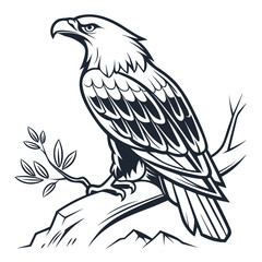 Fototapeta premium eagle on a white background