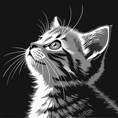 Detailed Black and White Cat Portrait – Vector Illustration of a Curious Kitten Looking Up