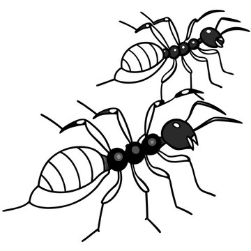 black ants crawling on white background clip art preview