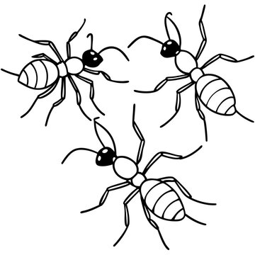 three black ants on white background clip art preview