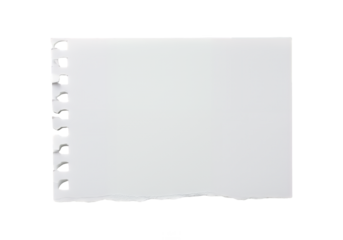 Torn white paper sheet with binder holes isolated on transparent background