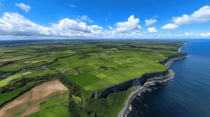 Fototapeta premium Aerial View of Lush Green Fields and Dramatic Coastal Cliffs