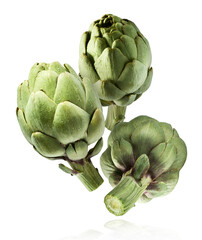 Obraz premium Fresh raw Artichoke falling in the air isolated on white background. High resolution image