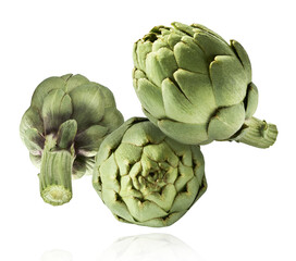 Fresh raw Artichoke falling in the air isolated on white background. High resolution image