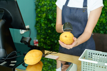 Caucasian female fruit vendor scanning ripe mango above digital scale using barcode device during checkout preparation at grocery shop before daily opening in small clean modern retail environment