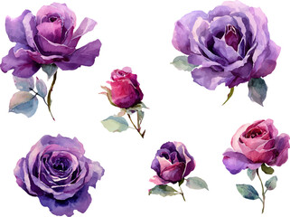 Fototapeta premium bouquet of roses