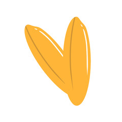 Brown rice uncooked hulled top view isolated