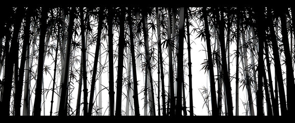 A bamboo garden in black and white