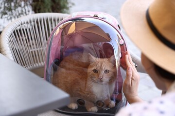 Woman with her cute cat in backpack carrier at cafe outdoors, closeup