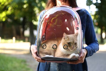 Woman with her cute cat in backpack carrier at park, closeup