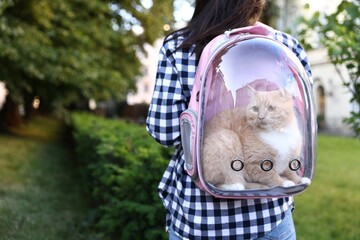 Woman with her cute cat in backpack carrier at park, closeup