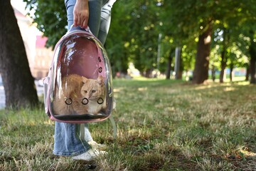 Woman with her cute cat in backpack carrier at park, closeup. Space for text