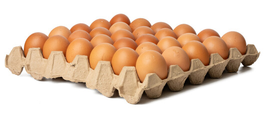 The Photograph of fresh eggs packed in a tray made from cardboard boxes high resolution 45MP and focus stacking technique