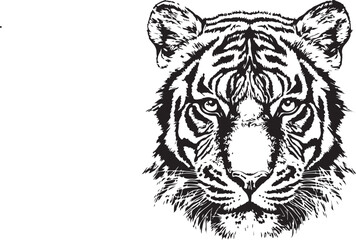 tiger head vector