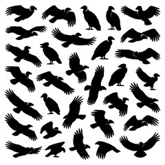 Flying and perched vultures in various poses as bold black silhouettes, Transparent Background