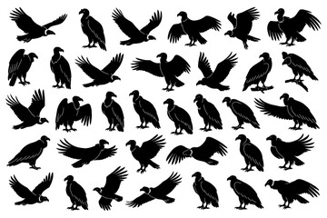 Flying and perched vultures in various poses as bold black silhouettes, Transparent Background