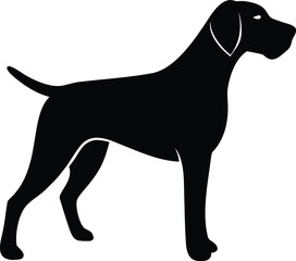 German Wirehaired Pointer silhouette with athletic build, wiry coat, docked tail, and alert stance