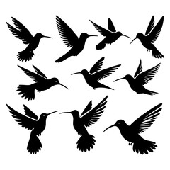 Obraz premium silhouettes of birds