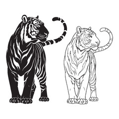 Solitary Nature Conveyed - Tiger Vector Elements - Versatile Silhouette and Detailed Lineart - Tiger silhouette - Tiger lineart - Tiger vector - silhouette & lineart of Tiger

