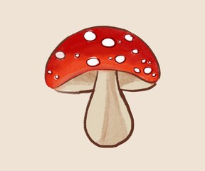 fly agaric mushroom