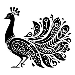 Fototapeta premium peacock feather vector